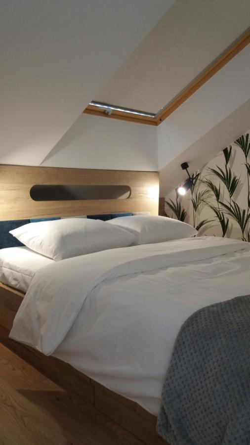 קרקוב Apartament Limanowskiego מראה חיצוני תמונה